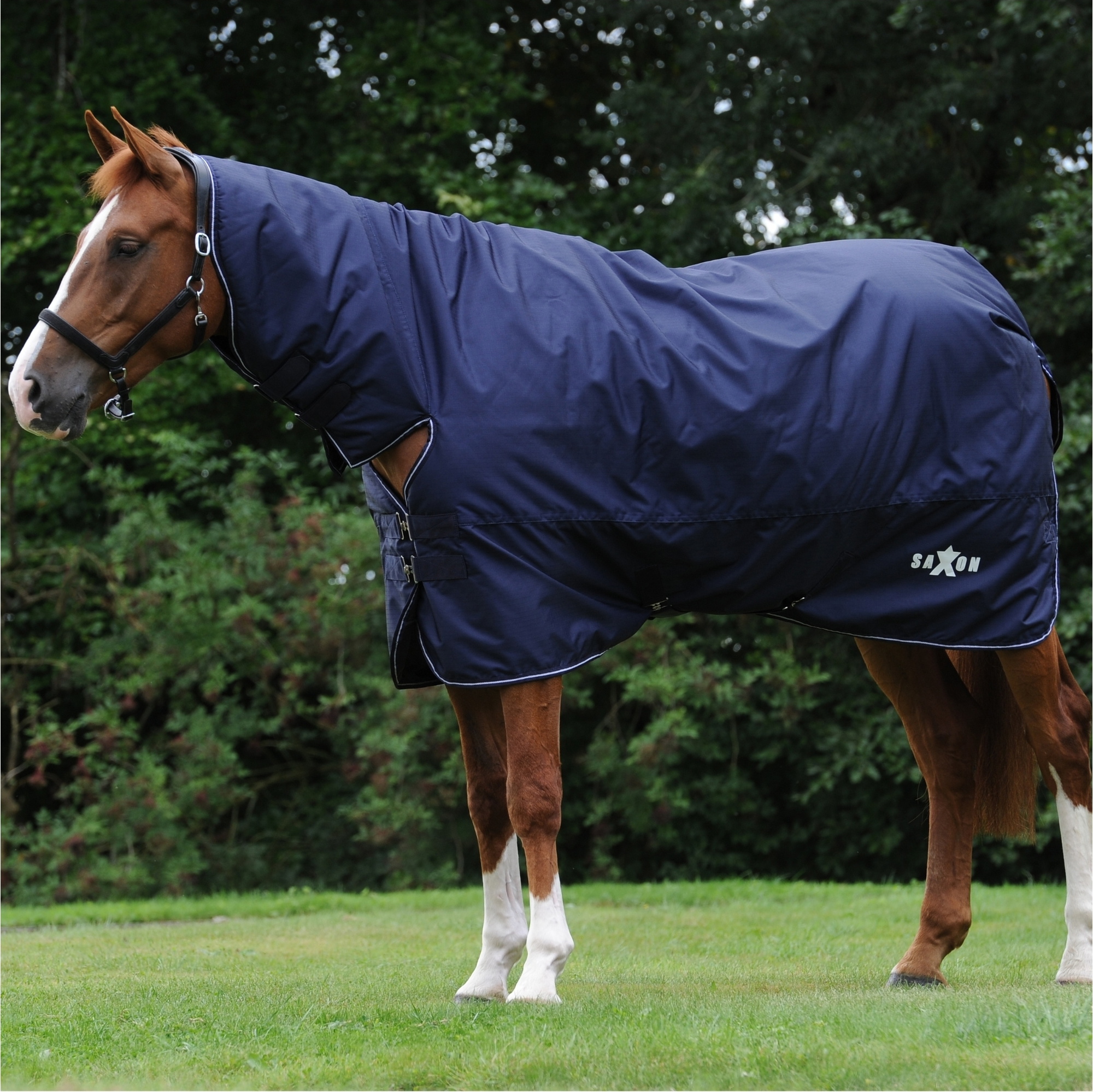 Saxon Trotzig 600D Combo Nacken Medium 1006341028 - Navy / Weiß